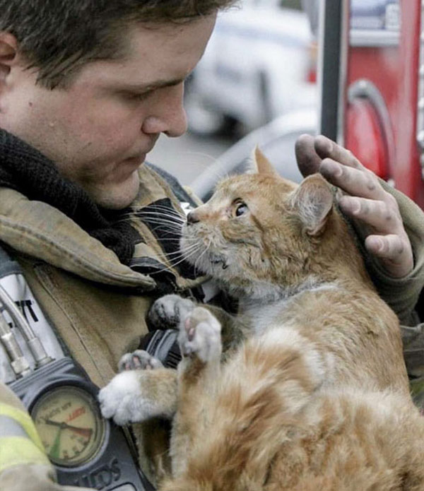 cat and fireman