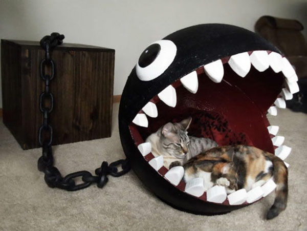 cat in giant ball bed