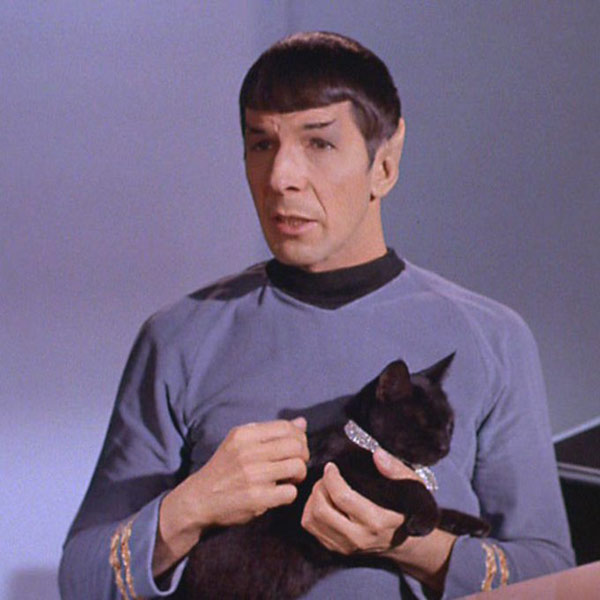 spock with cat