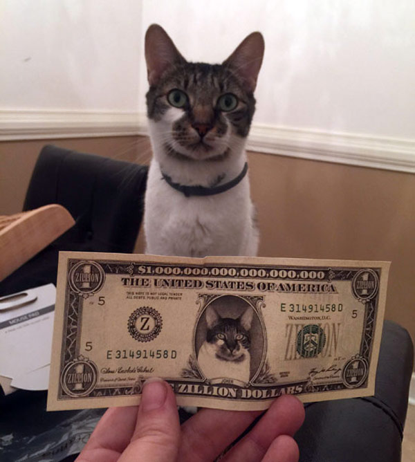 zillion dollar kitty