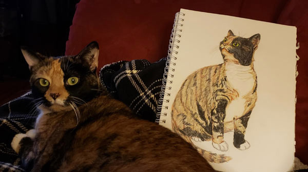 cat drawing art