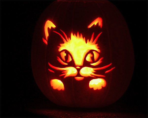 cat-o-lantern