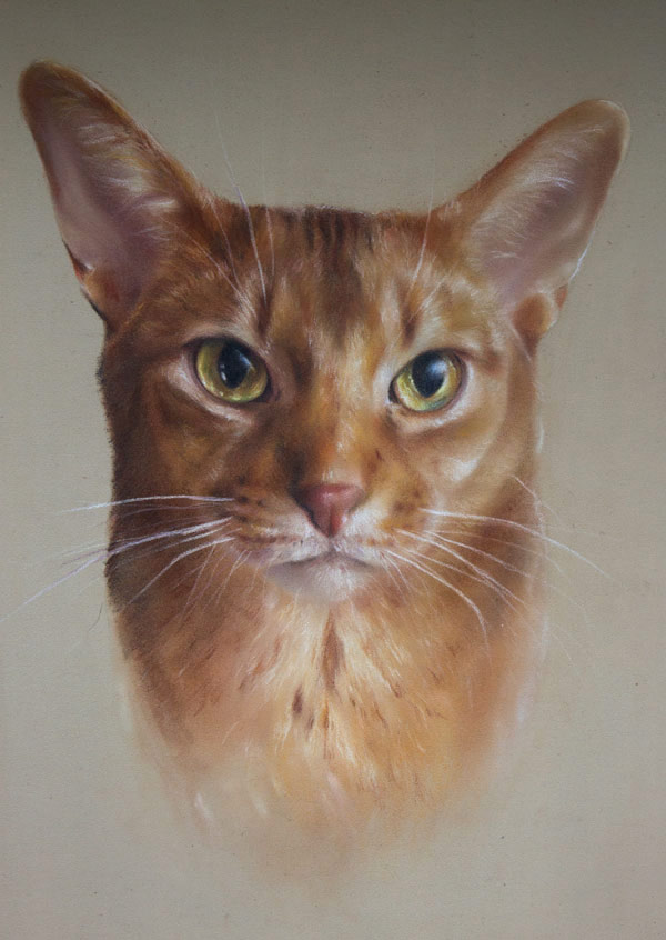 cat pastel art