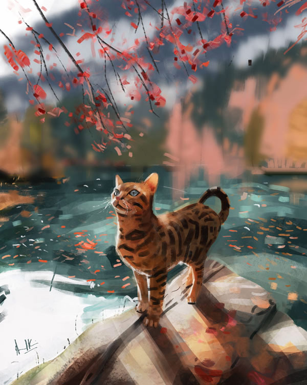 cat photostudy  art