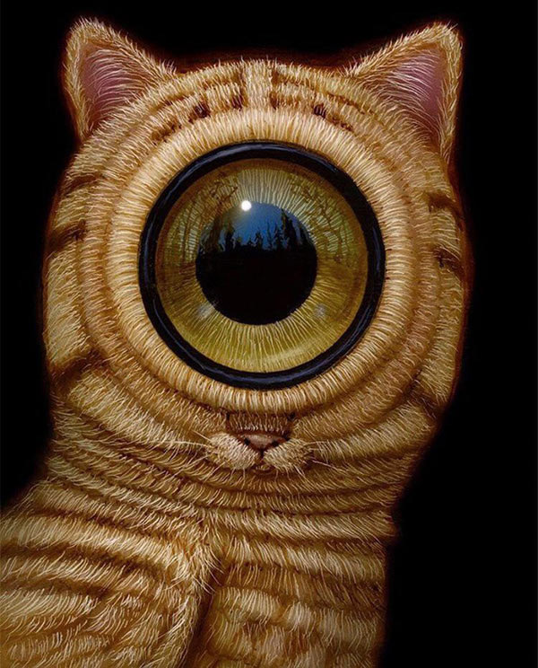 cat with one big eye art