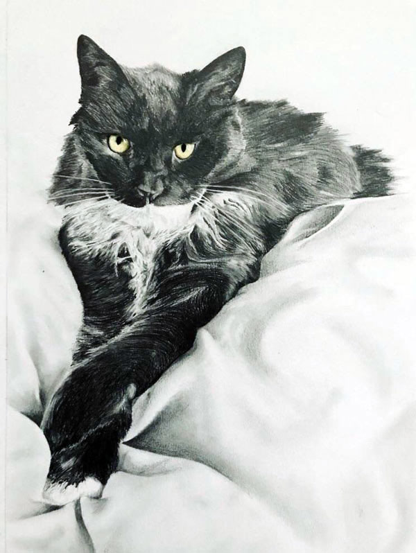 cat graphite art