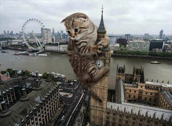 kitten climbs big ben art