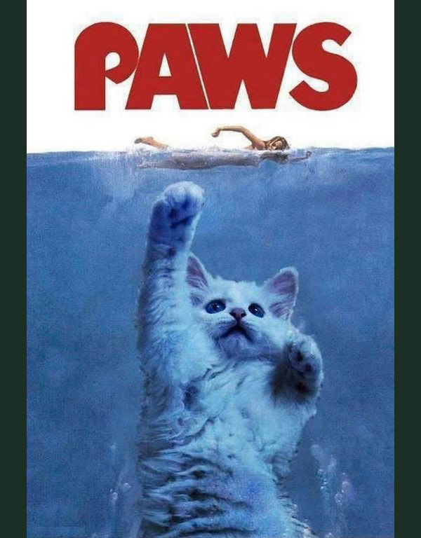 jaws  paws cat movie poster