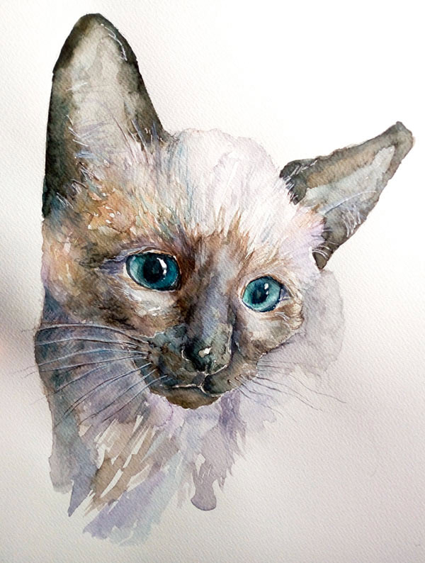 siamese  cat art