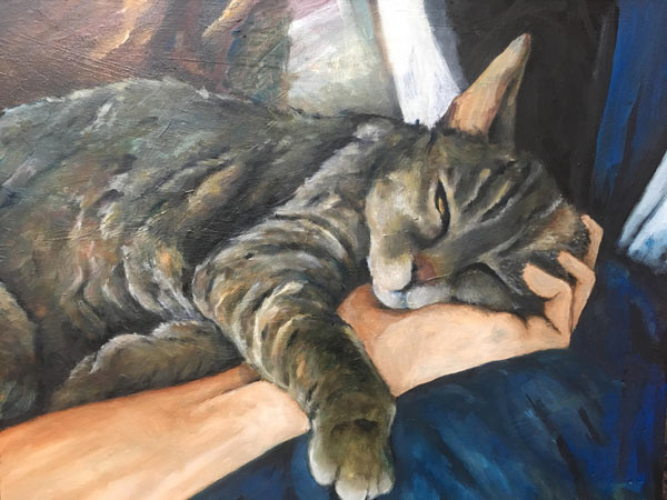 sleepy tabby art