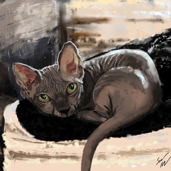 sphynx cat art