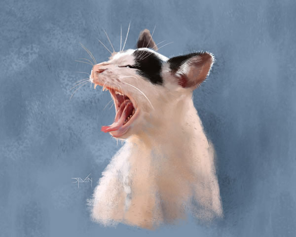 yawning cat art