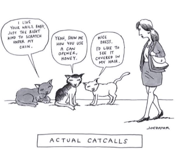 literal catcall comic