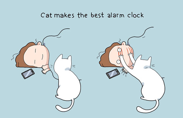 alarm clock cat comic