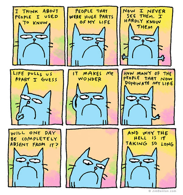 angry cat comic