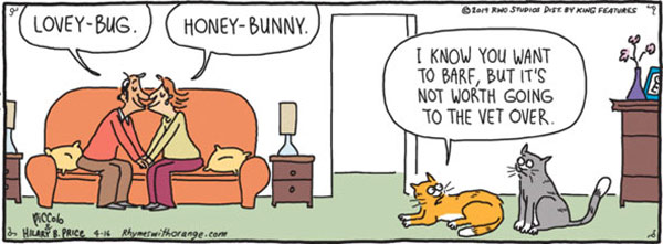 barfy cat comic