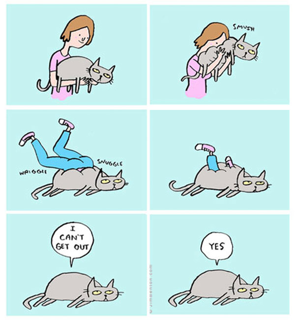 becoming your cat comic