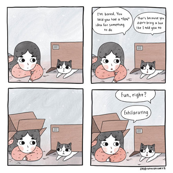 box cat comic