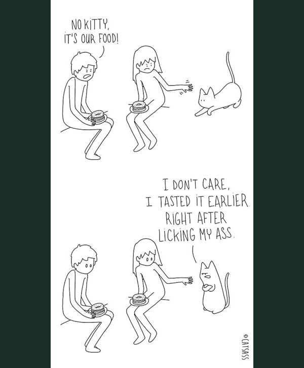 food cat comic