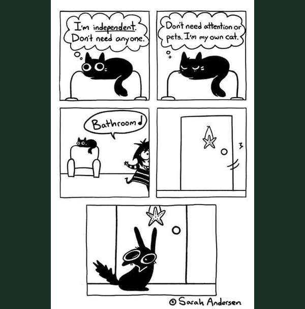 cat bathroom comic