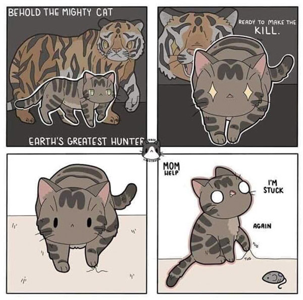 cat ego comic