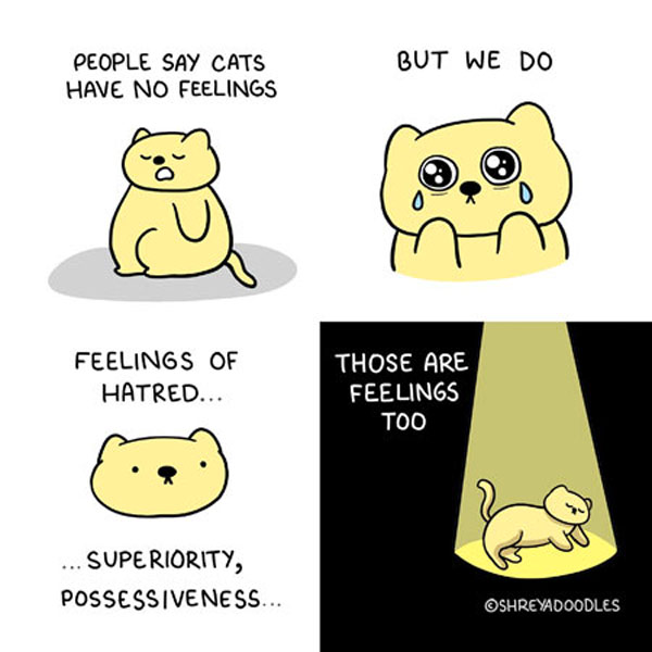 cat feelings comic