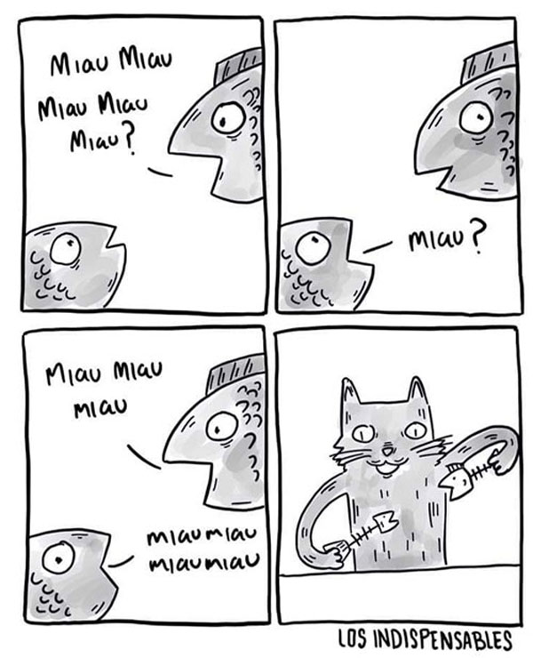 cat fish head comic