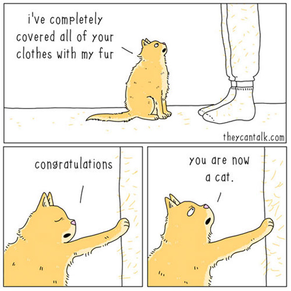 cat fur comic