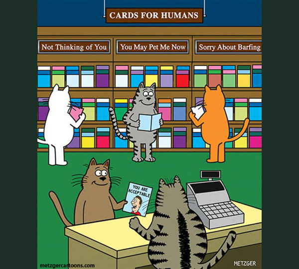 cat greeting cards comic