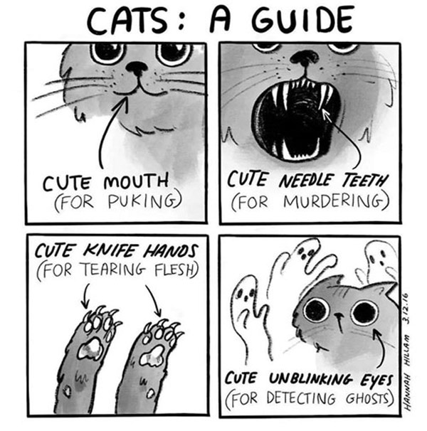 a guide to cats comic