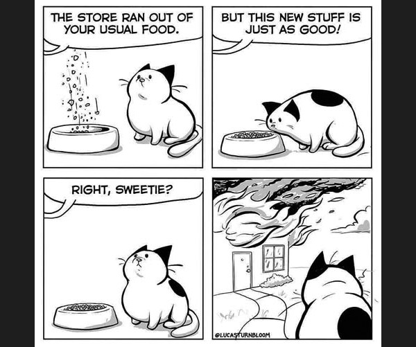 cat hates food comic