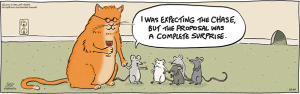 cat mouse marriage comic