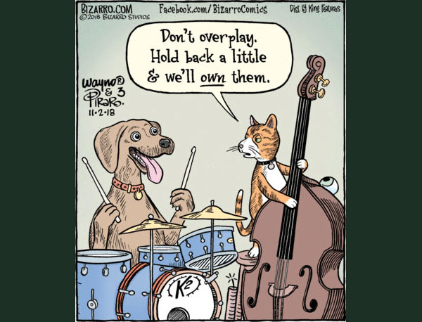  cat  musician comic