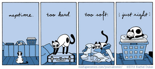 cat on laundry comic