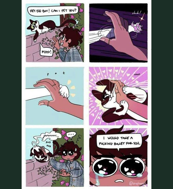 cat petting comic