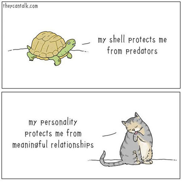 cats protection comic