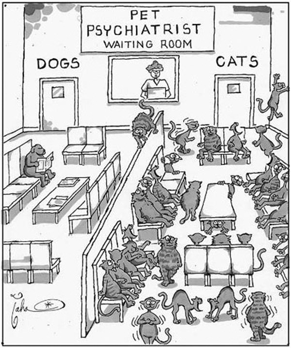 cat psychiatrist comic