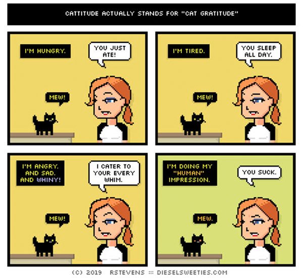 sarcasm cat comic