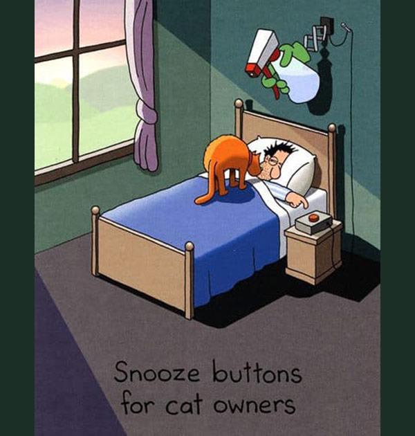 cat snooze button comic