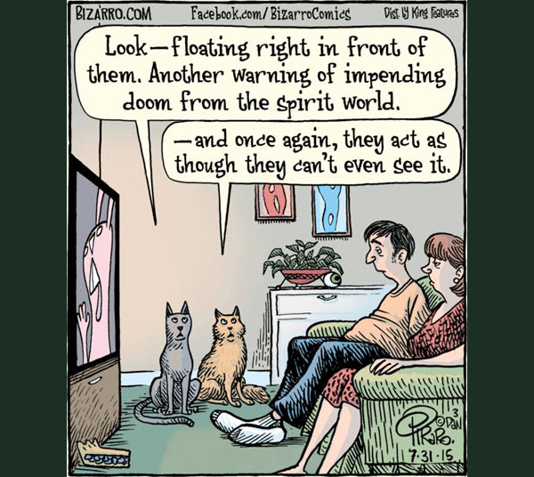cats and tv comic