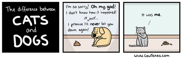 difference bewteen cats and dogs comic