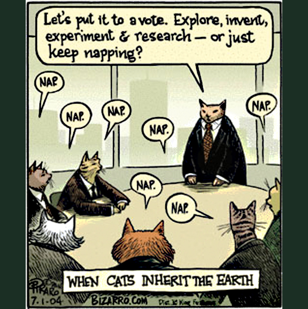 cats in charge comic