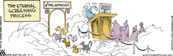 pets in heaven comic