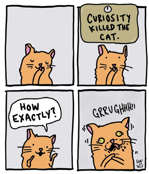 curiosity killed cat comic