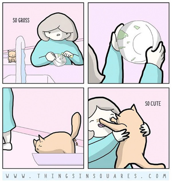 cats are gross and cute comic