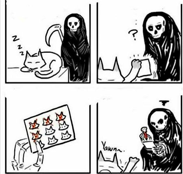 death cat comic