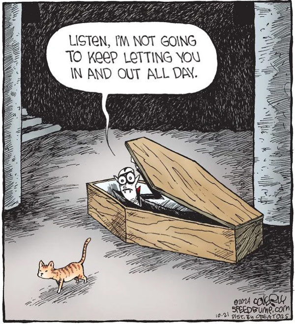 dracula's cat comic