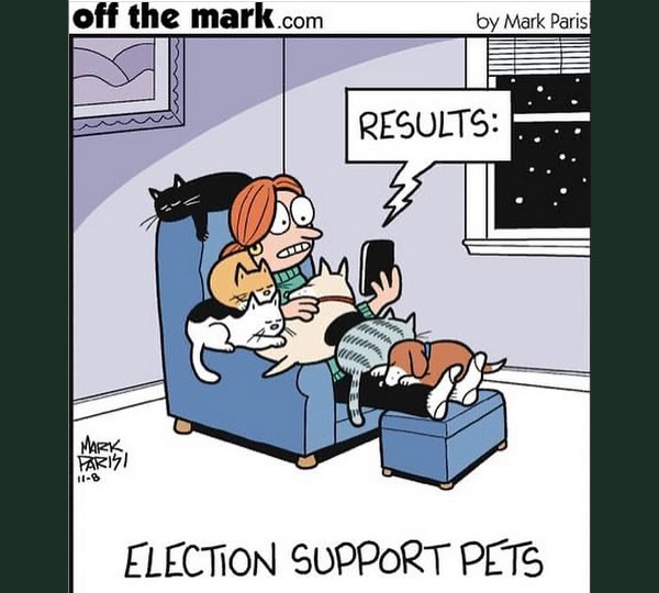 election support cats comic