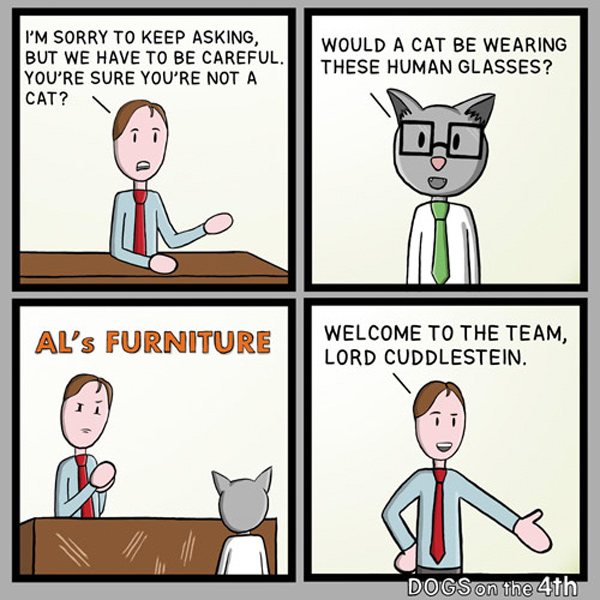 furniture salesman cat comic