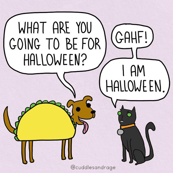 halloween cat comic